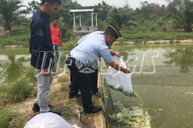 Lapas Sarolangun Dapat Bantuan 600 Kg Pakan & 1.000 Benih Ikan