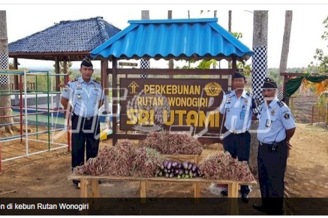 Rutan Wonogiri Panen 5 Kuintal Bawang Merah