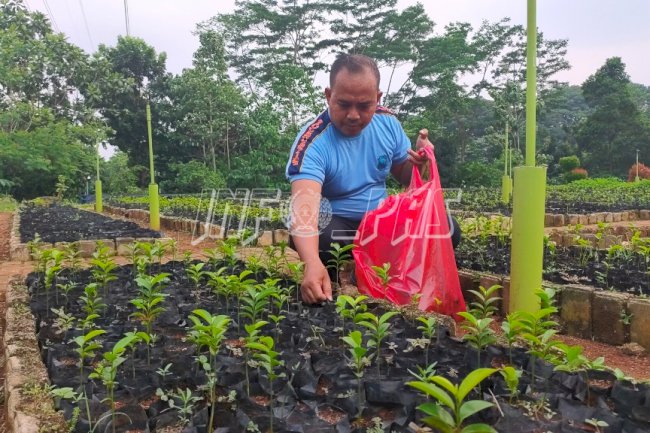 Persiapan Gedung Baru, LPKA Jakarta Dapat 50 Bibit Tanaman