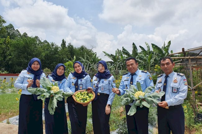 Bapas Tangerang Panen Cabai, Tomat, dan Bunga Kol