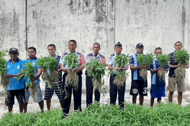 Lapas Ambon Tuai Hasil Kebun Pertama