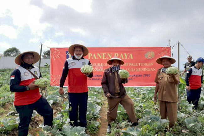 Lapas Kuningan Panen Belasan Ton Sayur Kol