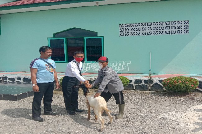 Lapas Muara Teweh Dapat Sumbangan Hewan Kurban