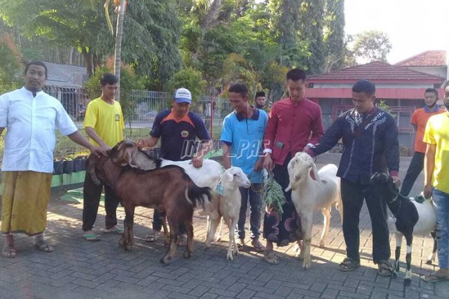 Iduladha, Rutan Batang Potong 1 Sapi & 6 Kambing