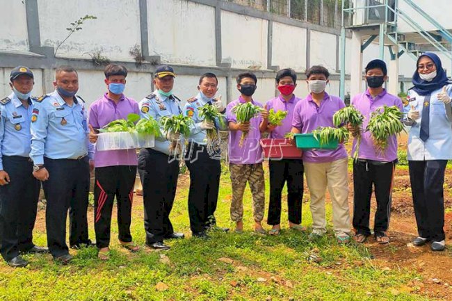 LPKA Jakarta Panen Hasil Perkebunan Hidroponik