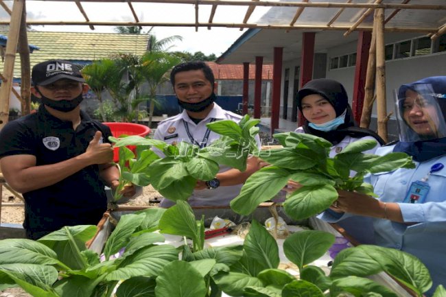 Rutan Buntok Panen Perdana Sayur Hidroponik 