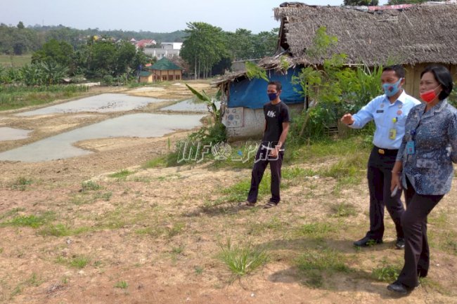 Kadivpas Banten Uji SIKAMPAS & Tinjau Lahan Asimilasi Lapas Rangkasbitung