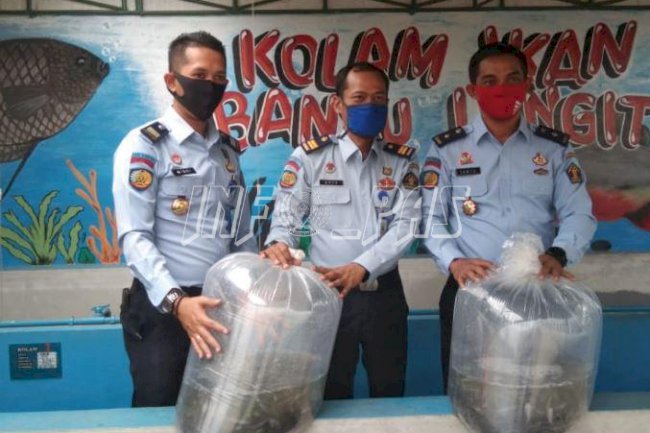 LPN Jakarta Serahkan 3.000 Ekor Bibit Lele kepada LPKA Jakarta