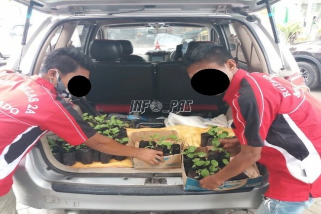 Rutan Manado Kembali Terima Ratusan Bibit Tanaman 