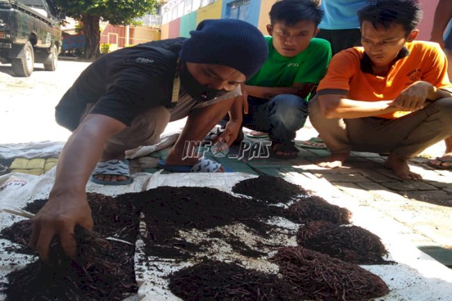 Rutan Batang Mulai Budidaya Cacing Tanah