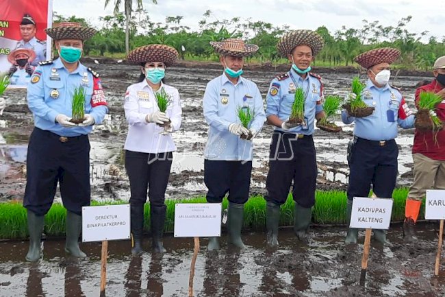 Canangkan Ketahanan Pangan, Rutan Kuala Kapuas Siap Pasok Kebutuhan Beras UPT se-Kalimantan
