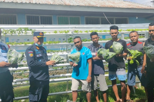 Rutan Ambon Panen Sayur Hidroponik
