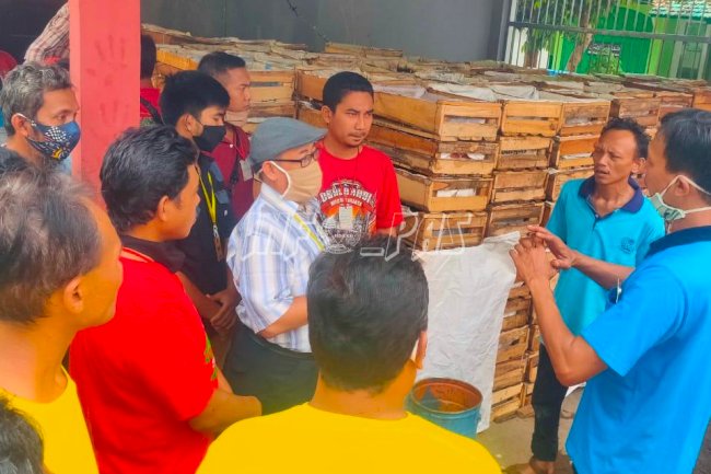 Budidaya Cacing, Rutan Batang Targetkan Hasil 1.000 Kilogram