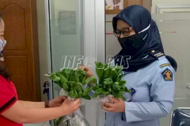 WBP Budidaya Pakcoy, Petugas LPP Jakarta Tak Perlu Beli ke Pasar