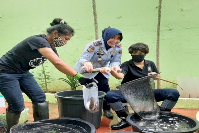 LPP Jakarta Panen 28 Kilogram Lele 