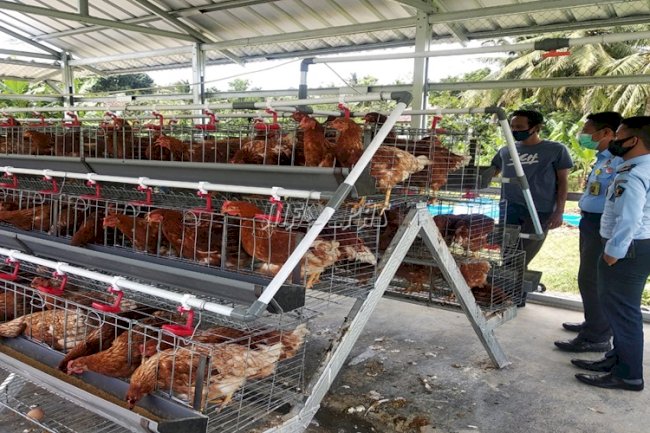 SAE Lapas Rangkasbitung Panen Telur