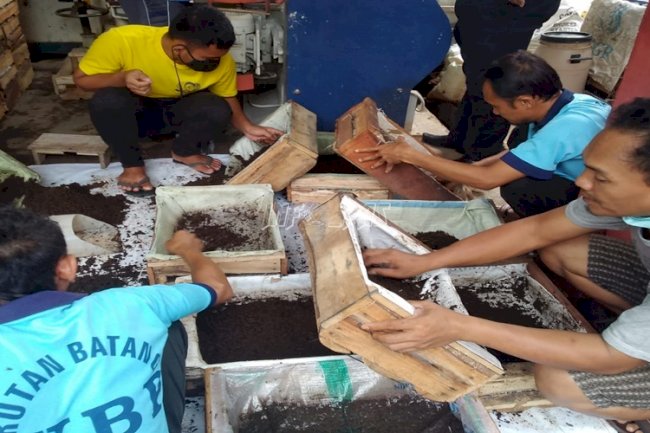 Rutan Batang Panen 111 Kg Hasil Budidaya Cacing
