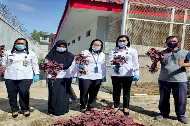 Panen Perdana Sayuran, LPP Ambon Ciptakan WBP Berdaya Guna