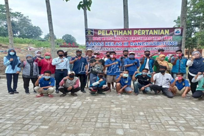 WBP Lapas Rangkasbitung Praktik Budidaya Cabai Keriting