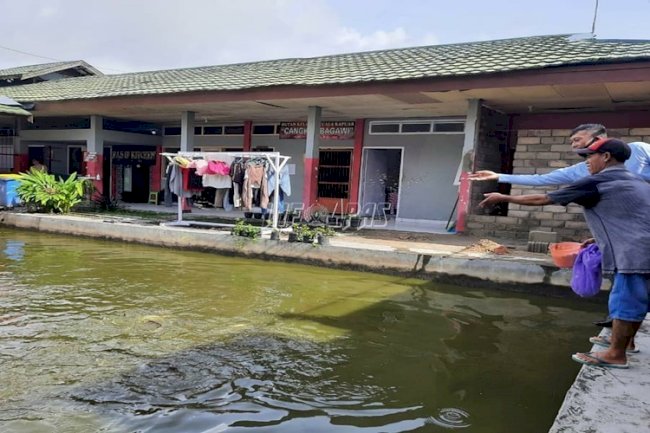 Budidaya Ikan Patin di Rutan Kuala Kapuas Siap Panen