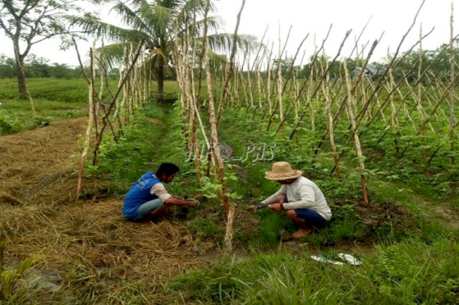 Rutan Kuala Kapuas Terus Awasi Open Camp Bunga Mawar