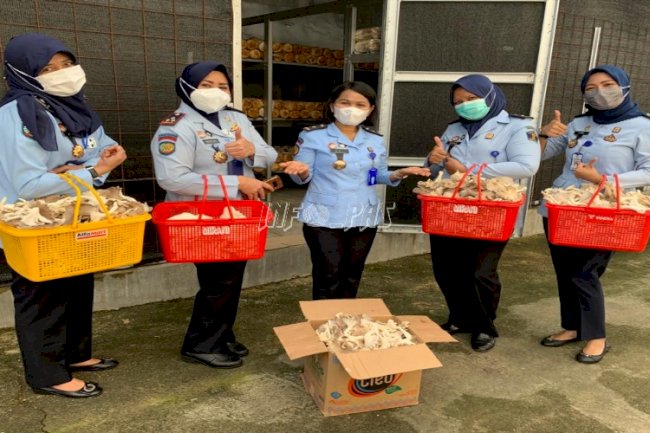 Makin Subur, LPP Jakarta Kembali Panen Jamur Tiram