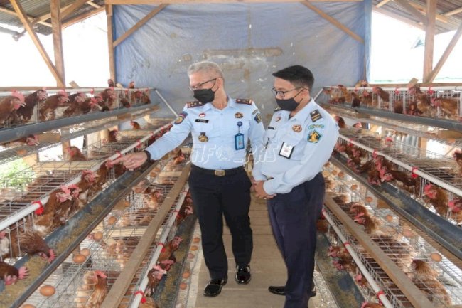 Lapas Curup Panen Perdana Telur Ayam Ras