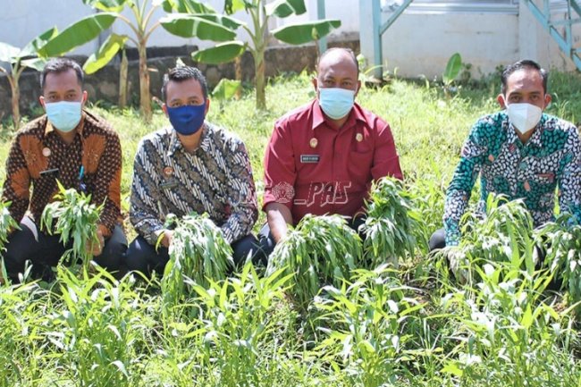 LPKA Jakarta Panen Kangkung