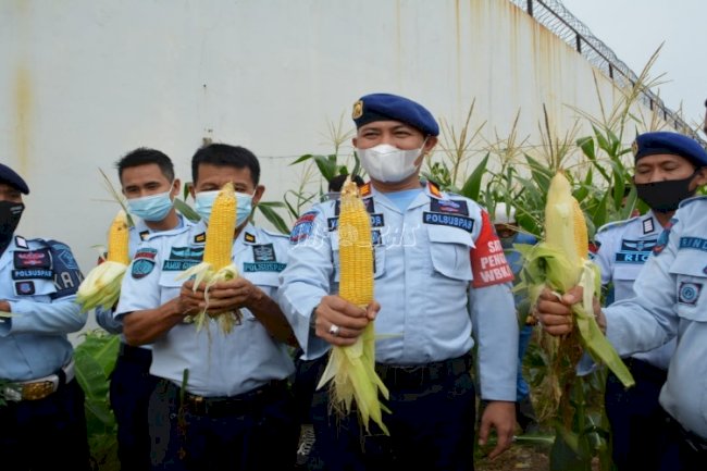 Rutan Batam Panen 3 Ton Jagung
