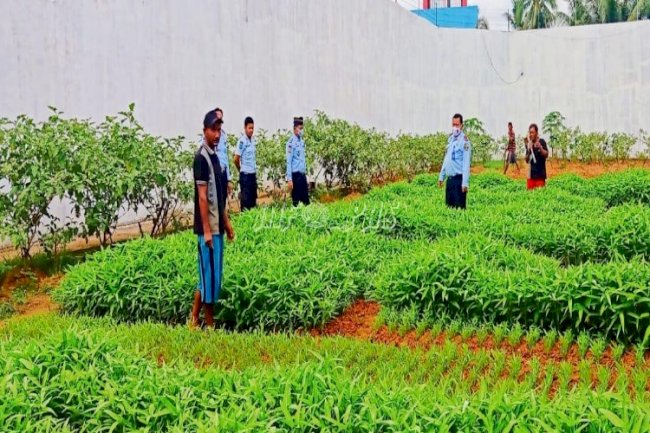 LPN Langsa Ubah Lahan Tidur Jadi Produktif