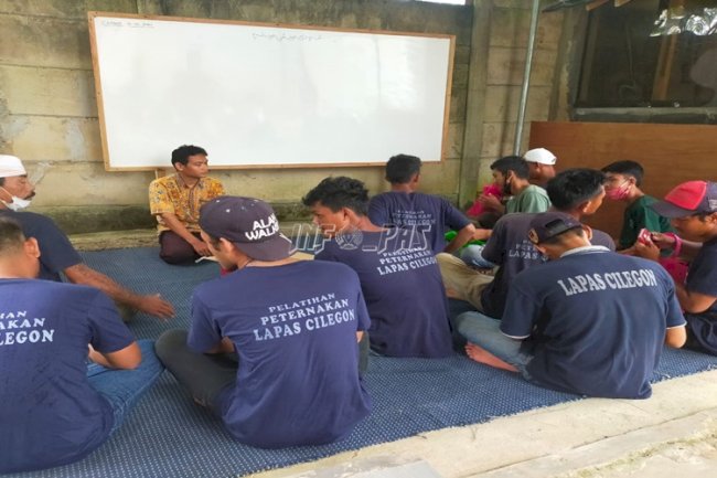 WBP Lapas Cilegon Belajar Jadi Peternak Ayam Petelur