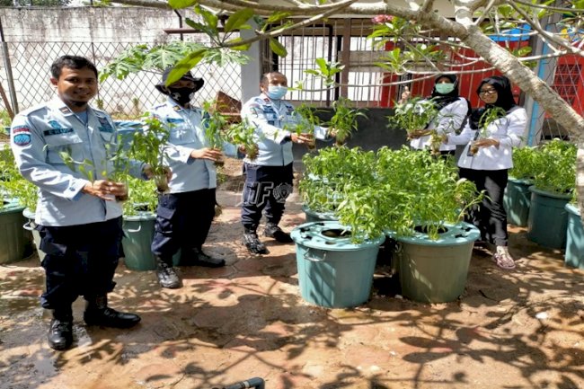 Budidaya Sayuran di Rutan Sambas Hasilkan Panen Kangkung 