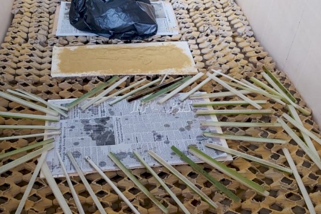 WBP Lapas Panyabungan Ikuti Pelatihan Budidaya Jangkrik 