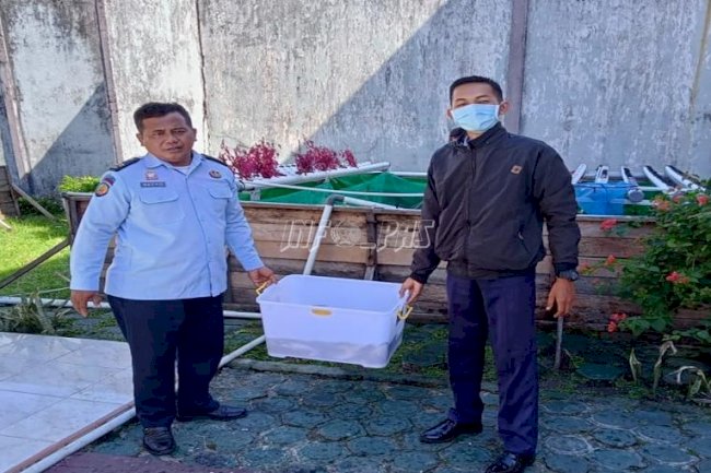 Lapas Sampit Panen 30 Kg Ikan Patin