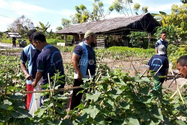 Berkebun Saat Bulan Puasa, WBP Lapas Namlea Tetap Produktif