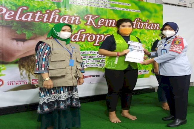 LPP Jakarta Mulai Kembangkan Media Tanam Hidroponik