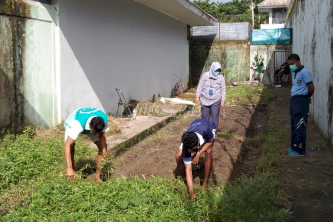 Rutan Ambon Manfaatkan Lahan Kosong Untuk Bercocok Tanam