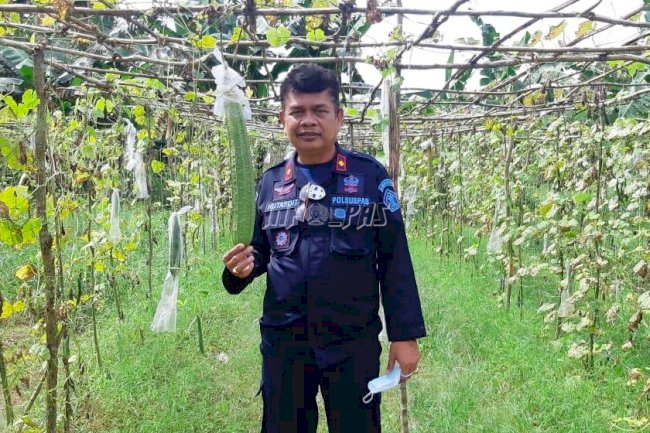 Kreatif, WBP Lapas Tanjungpandan Sulap Lahan Kosong Jadi Area Perkebunan