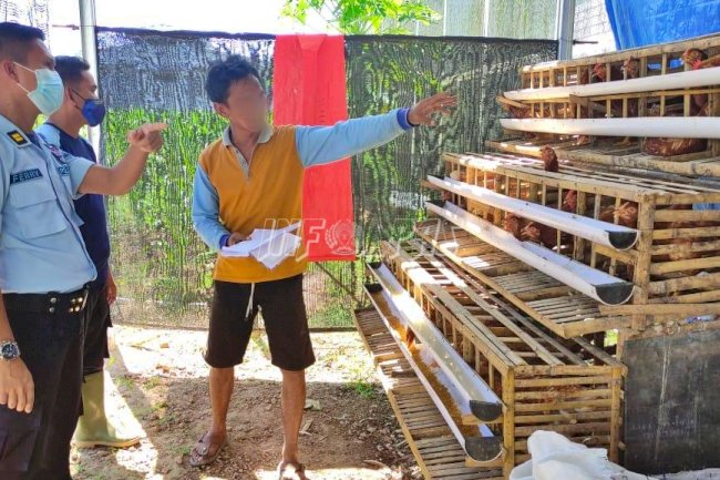 Panen Perdana Telur Ayam WBP Lapas Narkotika Karang Intan