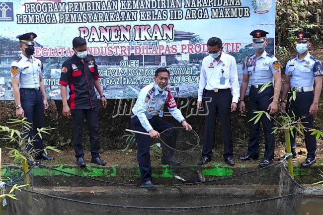 Panen Ikan Nila SAE Lapas Argamakmur Capai 250 Kg