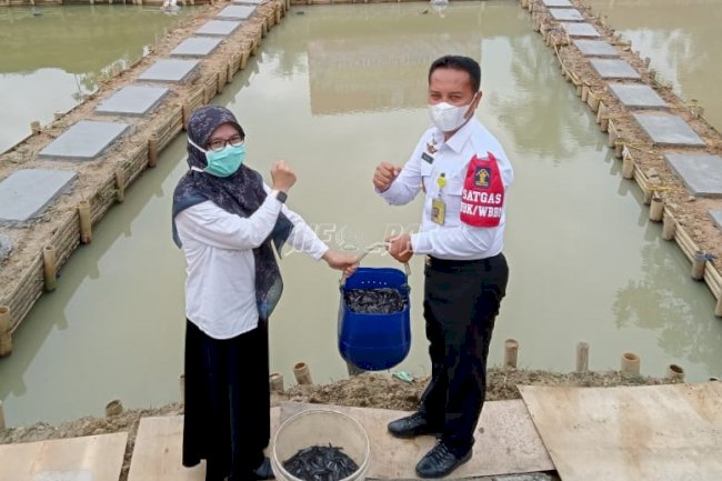 Dukung SAE, Lapas Rangkasbitung Dapat Hibah Benih Lele