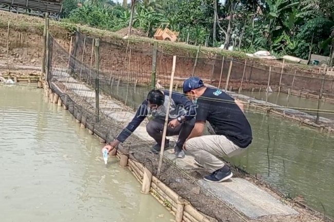 Progres Budidaya Perikanan di SAE Lapas Rangkasbitung Terus Dipantau