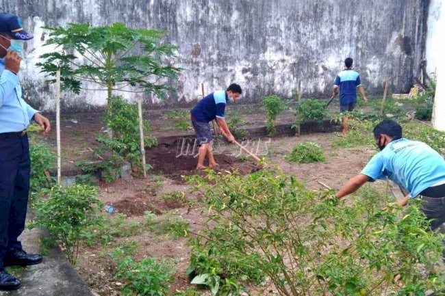 WBP Rutan Bantaeng Dibekali Keterampilan Bercocok Tanam