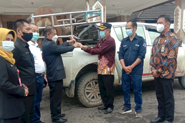 Berkah Iduladha, Lapas Muara Teweh Terima 1 Sapi 