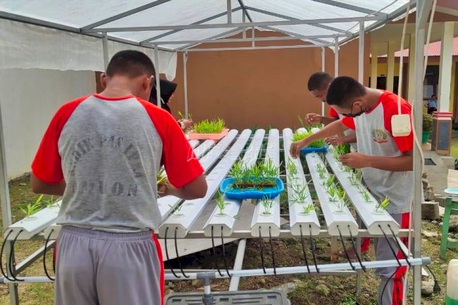 Anak LPKA Ambon Kembali Budidayakan Sayuran Hidroponik