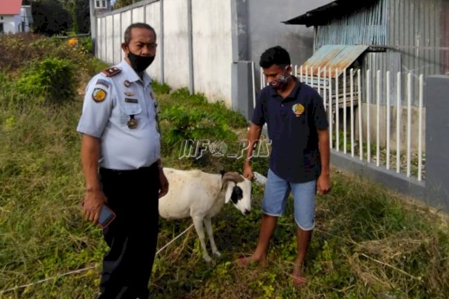 Jelang Iduladha, Lapas Siapkan Hewan Kurban