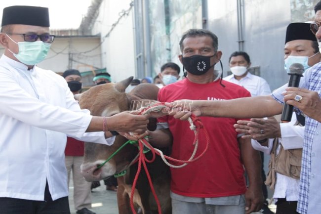 Dirjenpas Serahkan Sapi Kurban Milik Menkumham ke Lapas Cipinang 