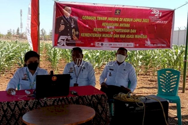 Lapas Kupang Ikuti Webinar Gerakan Tanam Jagung