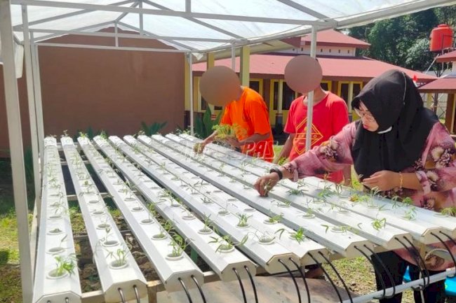 Tanamkan Pendidikan Karakter Anak LPKA Ambon Lewat Budidaya Hidroponik