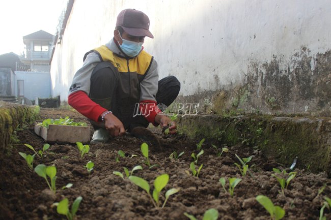 Rutan Bangli Ubah Lahan Kosong Jadi Area Perkebunan